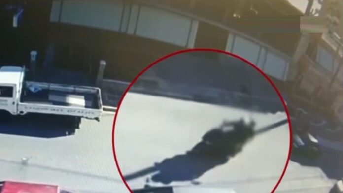 Ελευσίνα: Μαχαίρια, σιδερογροθιές και εθνικιστικά έντυπα βρέθηκαν στα σπίτια των δύο κατηγορουμένων για την επίθεση στον 32χρονο