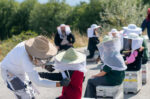 ΘΕΟΝΗ και Bee for Planet: Υιοθεσία 25 μελισσιών και βιωματική δράση για τη βιοποικιλότητα