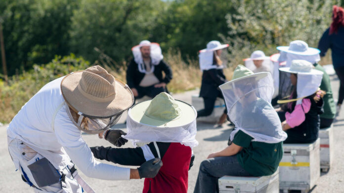 ΘΕΟΝΗ και Bee for Planet: Υιοθεσία 25 μελισσιών και βιωματική δράση για τη βιοποικιλότητα