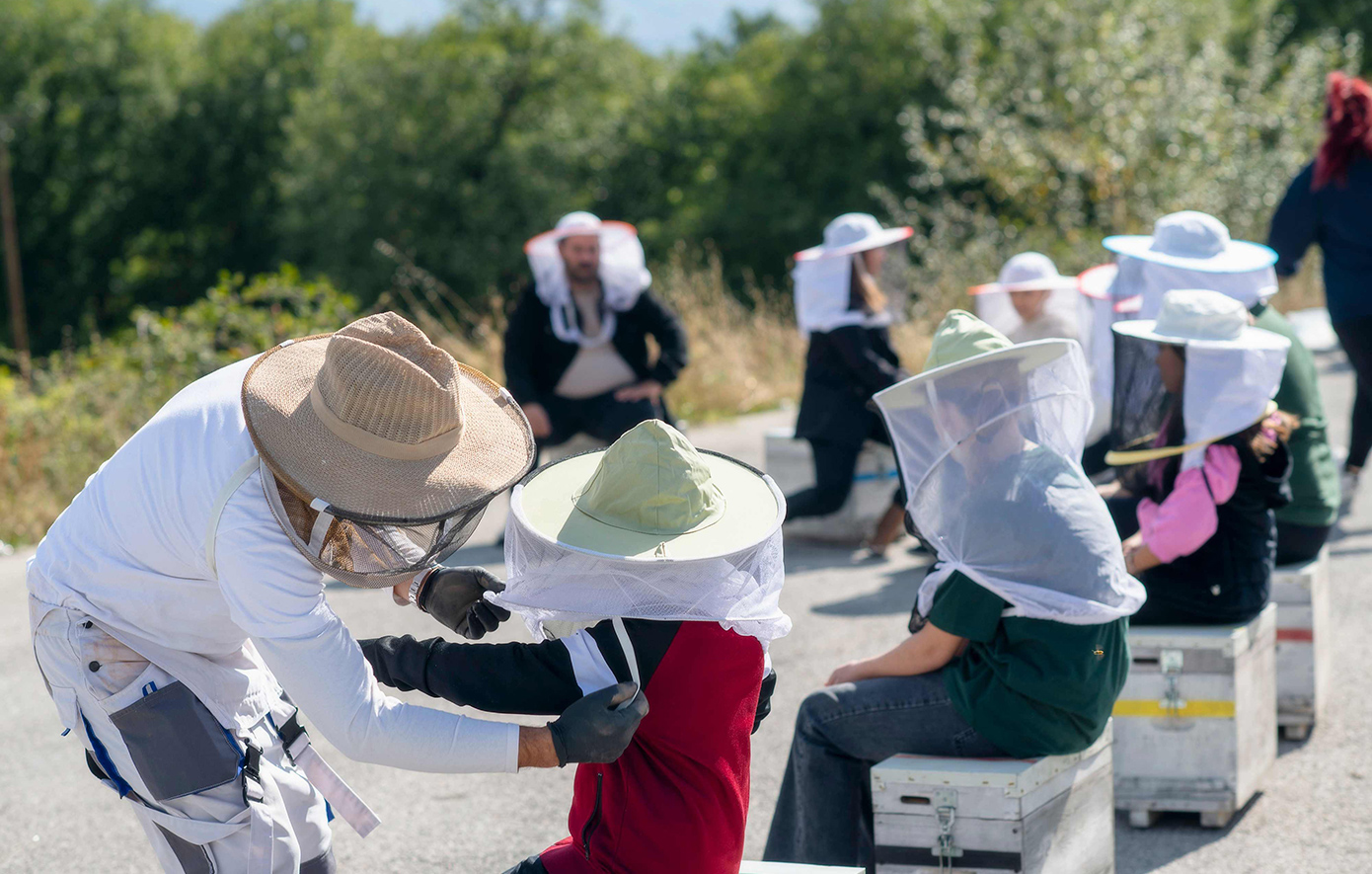 ΘΕΟΝΗ και Bee for Planet: Υιοθεσία 25 μελισσιών και βιωματική δράση για τη βιοποικιλότητα