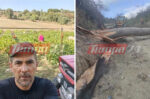Τραγωδία στην Αχαΐα: 51χρονο καταπλάκωσε δέντρο που πήγε να κόψει