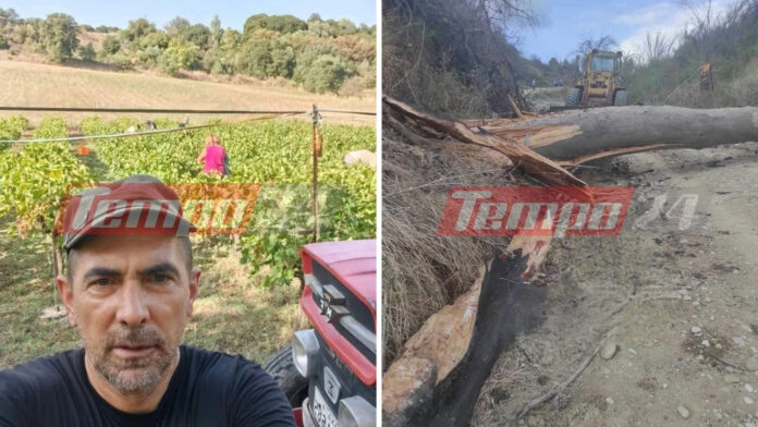 Τραγωδία στην Αχαΐα: 51χρονο καταπλάκωσε δέντρο που πήγε να κόψει