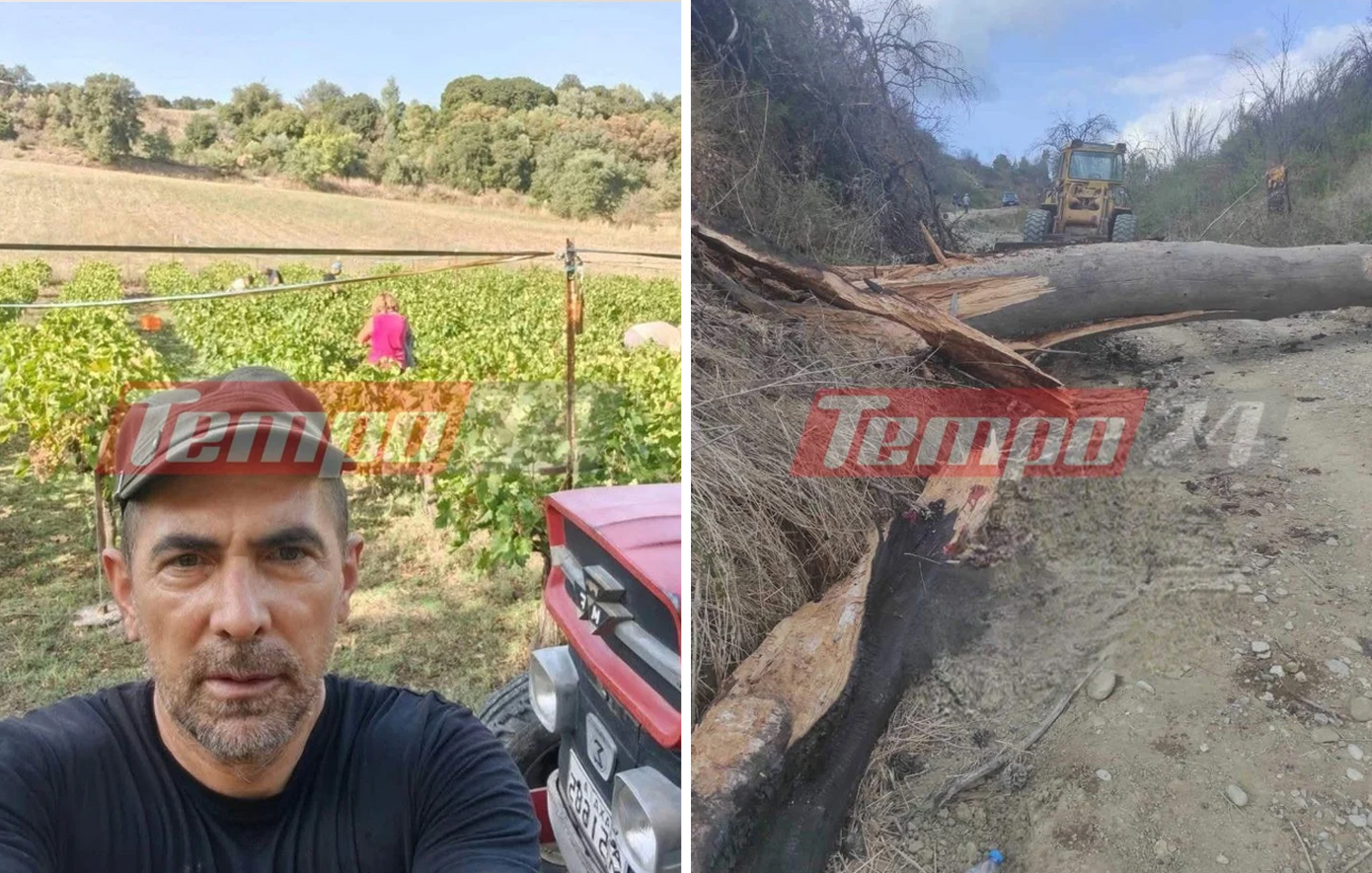 Τραγωδία στην Αχαΐα: 51χρονο καταπλάκωσε δέντρο που πήγε να κόψει