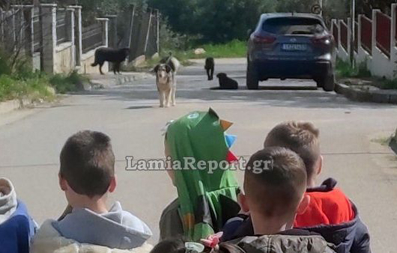 Λαμία: Μητέρα στο νοσοκομείο μετά από επίθεση αδέσποτου έξω από νηπιαγωγείο – Αγανάκτηση για τα σκυλιά