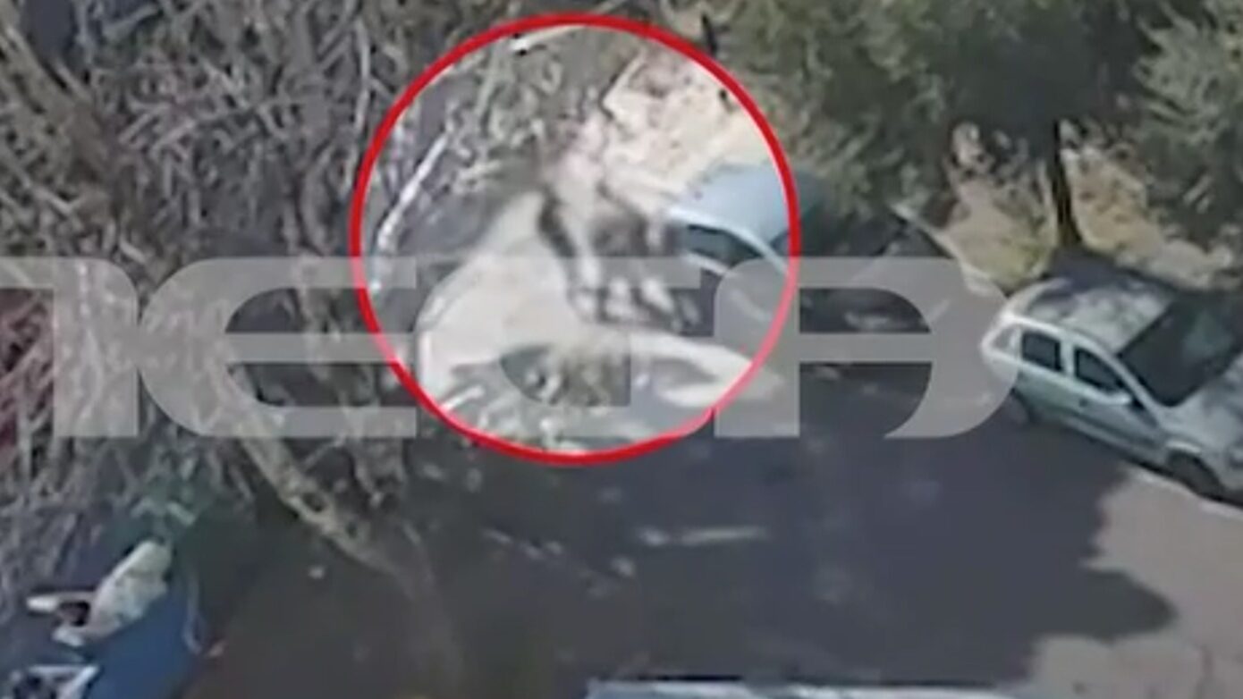 Ελευσίνα: Την Τρίτη απολογούνται οι δύο φασίστες για την επίθεση σε 32χρονο