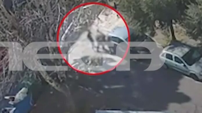 Ελευσίνα: Την Τρίτη απολογούνται οι δύο φασίστες για την επίθεση σε 32χρονο