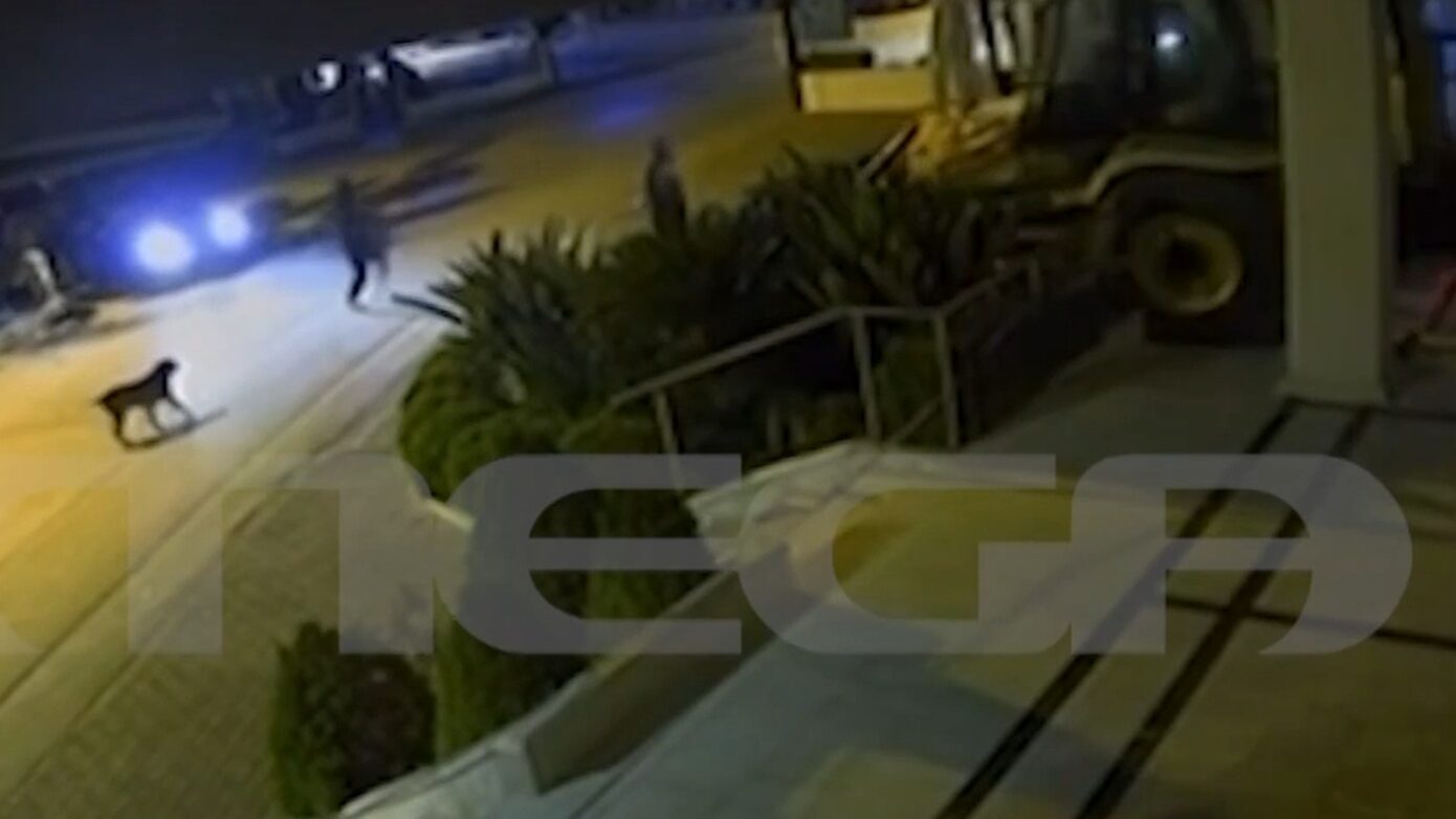 Αυλίδα: Διέρρηξαν κοσμηματοπωλείο με σκαπτικό μηχάνημα – Βίντεο από την εισβολή