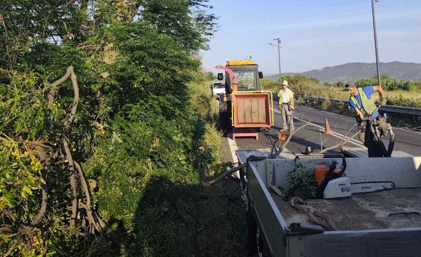 Π.Ε. Φθιώτιδας: Ολοκληρώθηκε ο καθαρισμός ερεισμάτων στο οδικό δίκτυο