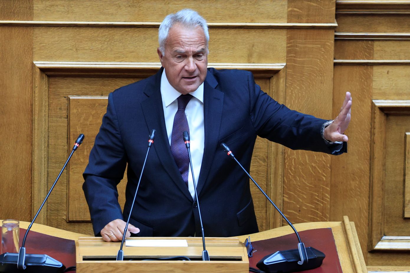 Μ. Βορίδης: «Ο κ. Καραμανλής δεν έχει ξεπεράσει το όριο, λέει τη γνώμη του» – Αφήνει «καρφί» για τον Α. Σαμαρά