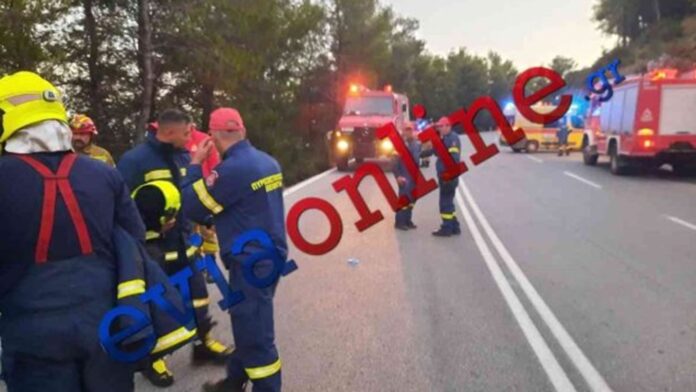Εύβοια: Αυτοκίνητο έπεσε σε γκρεμό 30 μέτρων – Απεγκλωβίστηκαν βρέφος 19 μηνών και η 65χρονη γιαγιά του