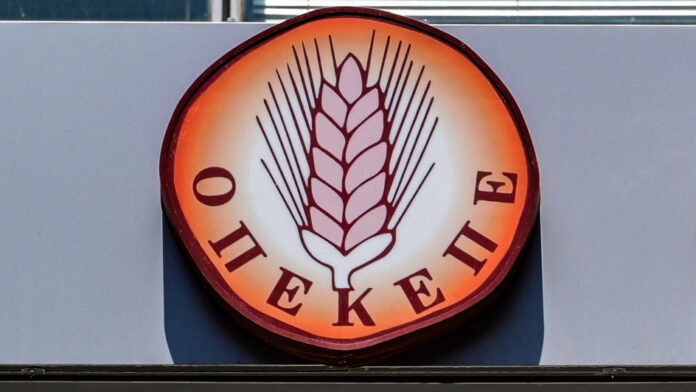 ΟΠΕΚΕΠΕ: Αναβλήθηκε για τις 20 Νοεμβρίου 2026 η δίκη της Κατερίνας Παπακώστα