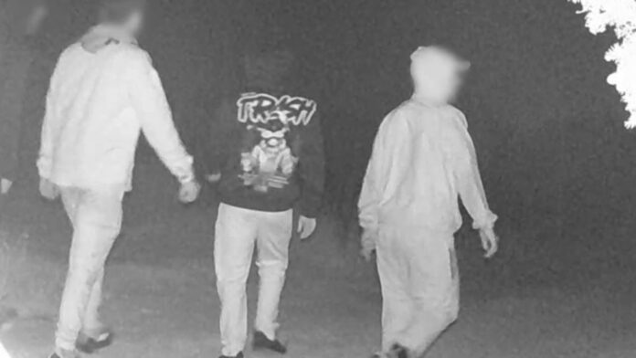 Παιανία: Έκλεψαν 25 χιλιόμετρα καλωδίων αξίας άνω του ενός εκατ. ευρώ από εργοτάξιο – Συνελήφθησαν 13 από τους 92 δράστες