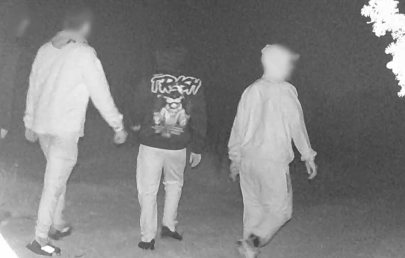 Παιανία: Έκλεψαν 25 χιλιόμετρα καλωδίων αξίας άνω του ενός εκατ. ευρώ από εργοτάξιο – Συνελήφθησαν 13 από τους 92 δράστες